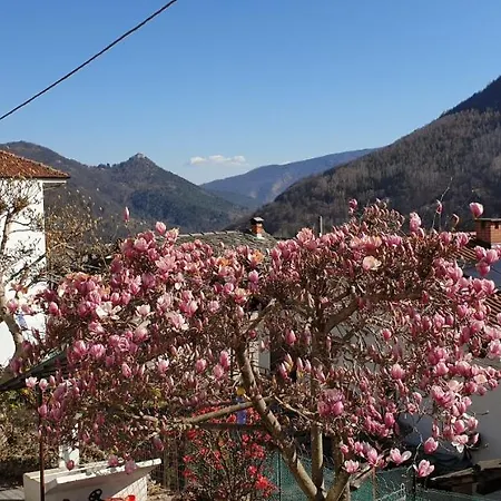 Casa Le Rondini Mezzenile